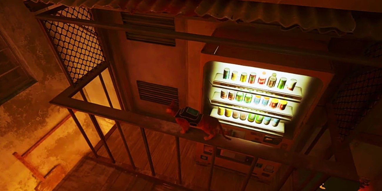 Stray Energy Drink & Vending Machine Guide