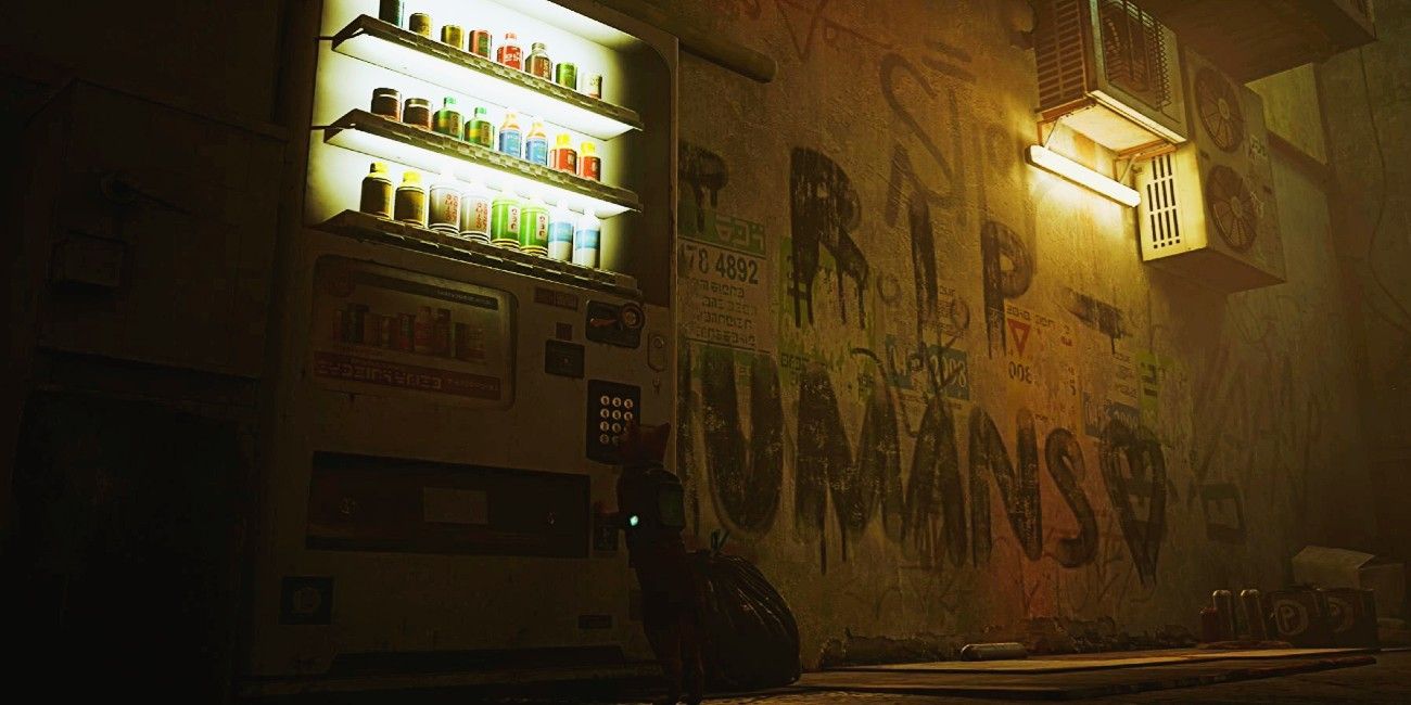 Stray Energy Drink & Vending Machine Guide