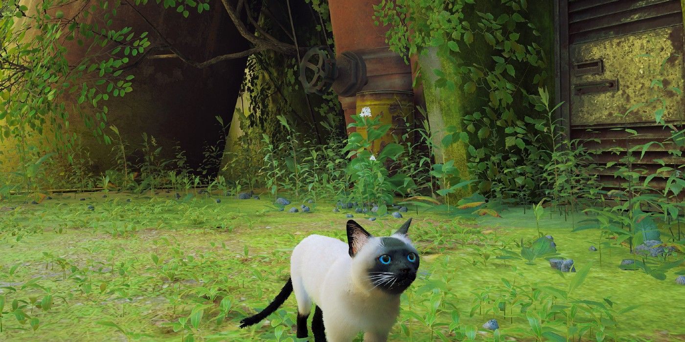 Screenshot depicting a Siamese cat retexture in Stray.