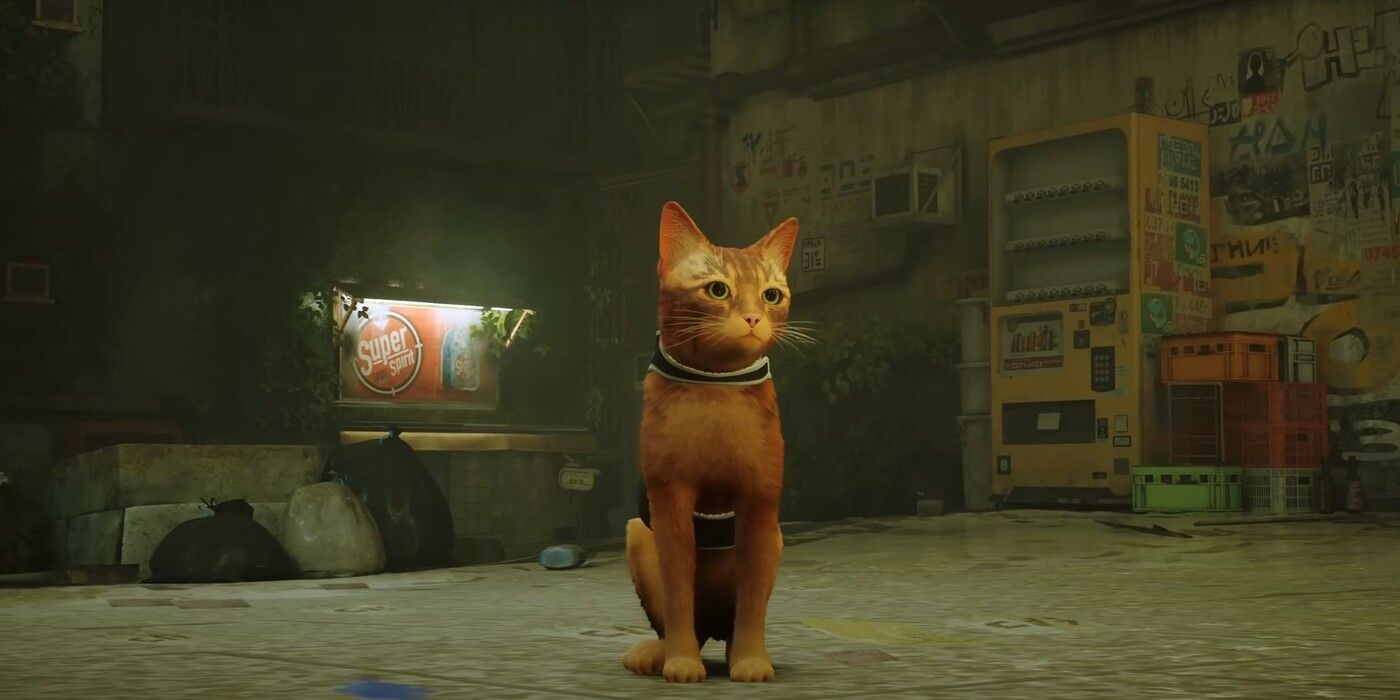 STRAY The Sci-Fi Game About a Stray Cat Debuts Early 2022 - Nerdist