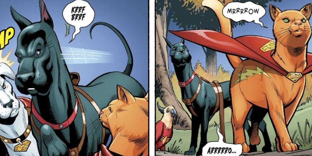 Streaky the ginger cat and the super pets in DC Comics