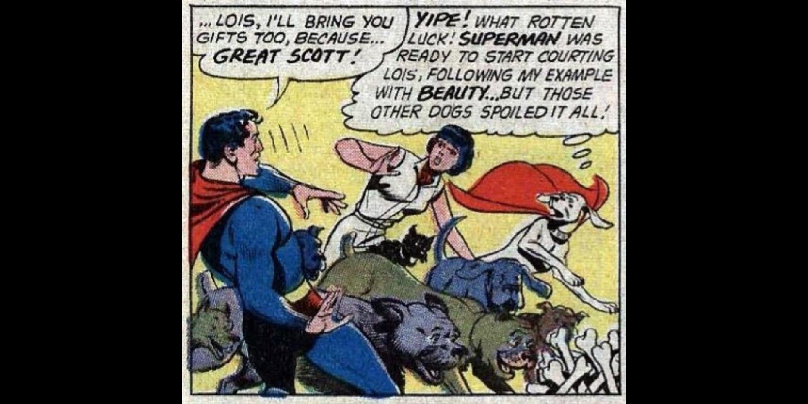 A pack of dogs runs between Lois and Superman, much to Krypto's dismay