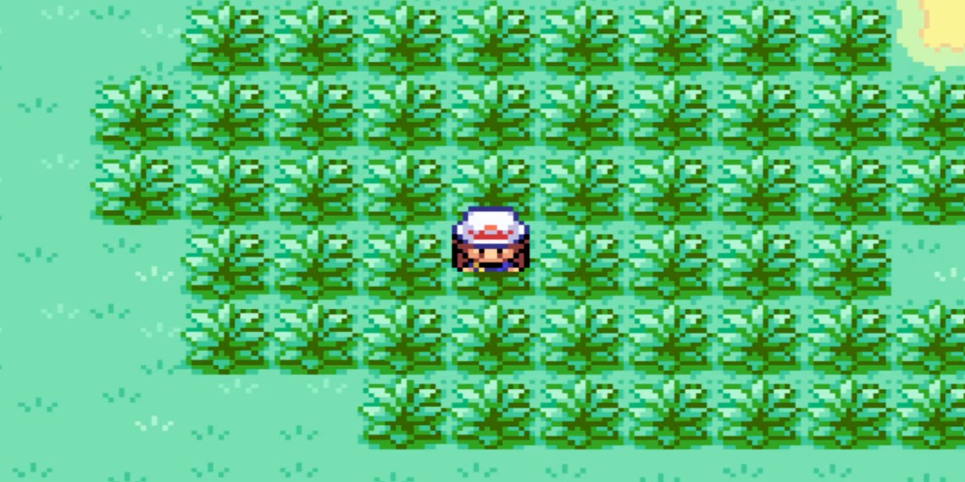The Safari Zone in Pokemon Fire Red and Leaf Green