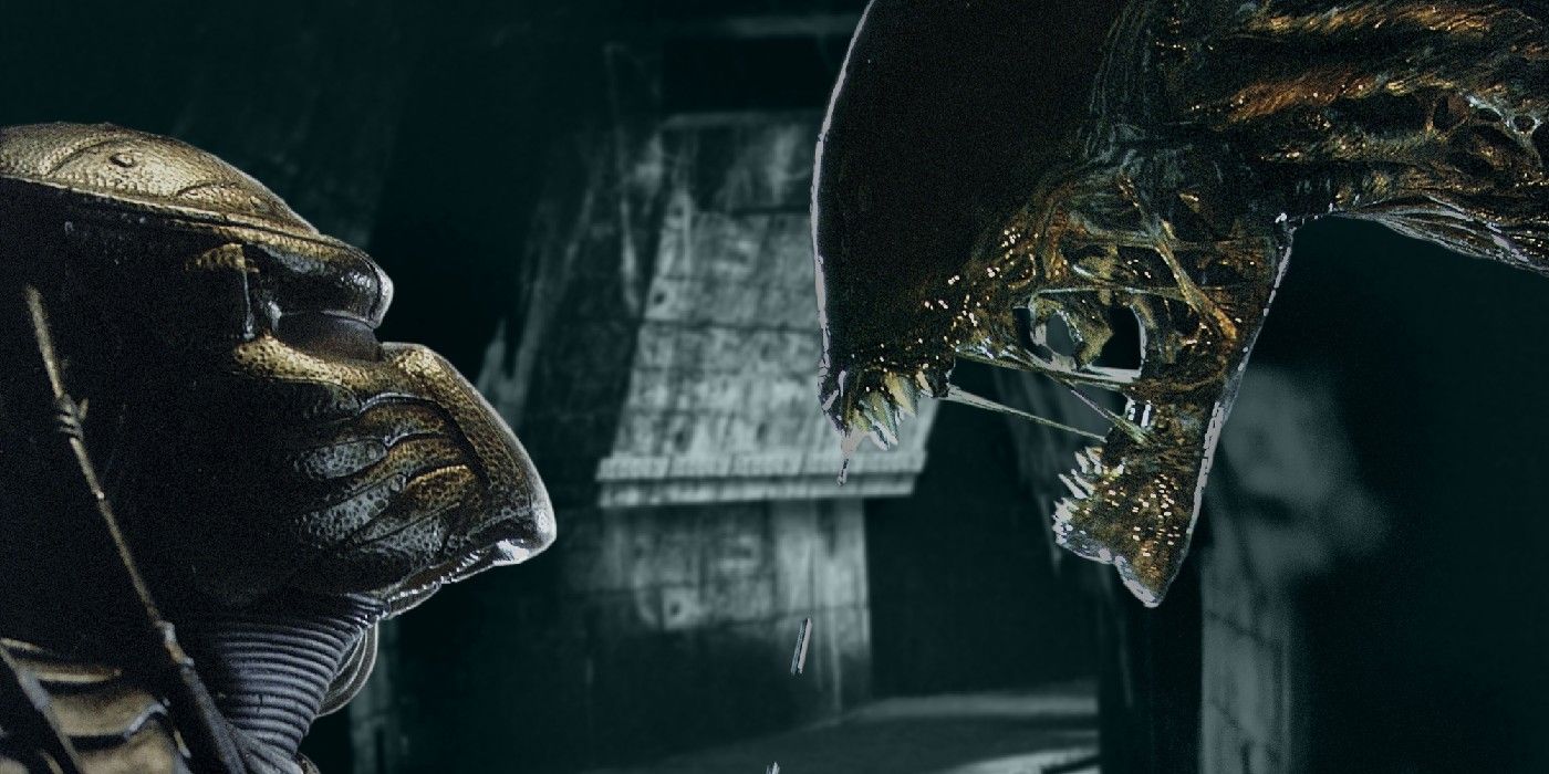 The Xenomorph And Predator Fight In Alien Vs Predator.