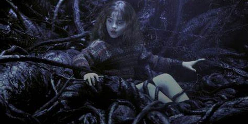 Harry Potter: 5 Perks Of Being Hermione Granger (And 5 Harsh Realities)