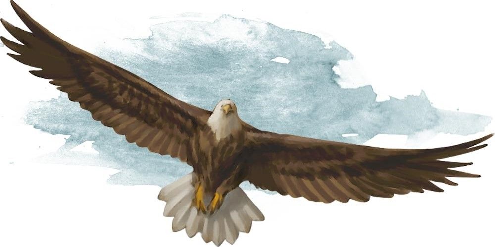 Official DND giant eagle art