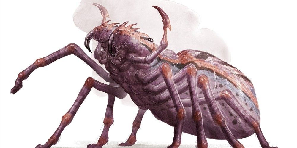 Official art of the giant spider in DnD