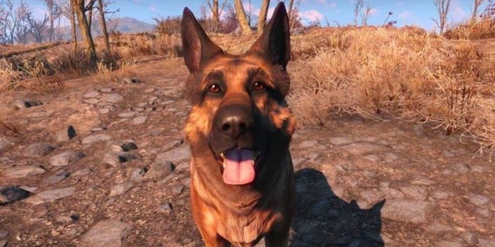 Dogmeat, a German Shepherd, gazes happily into the camera In Fallout 4