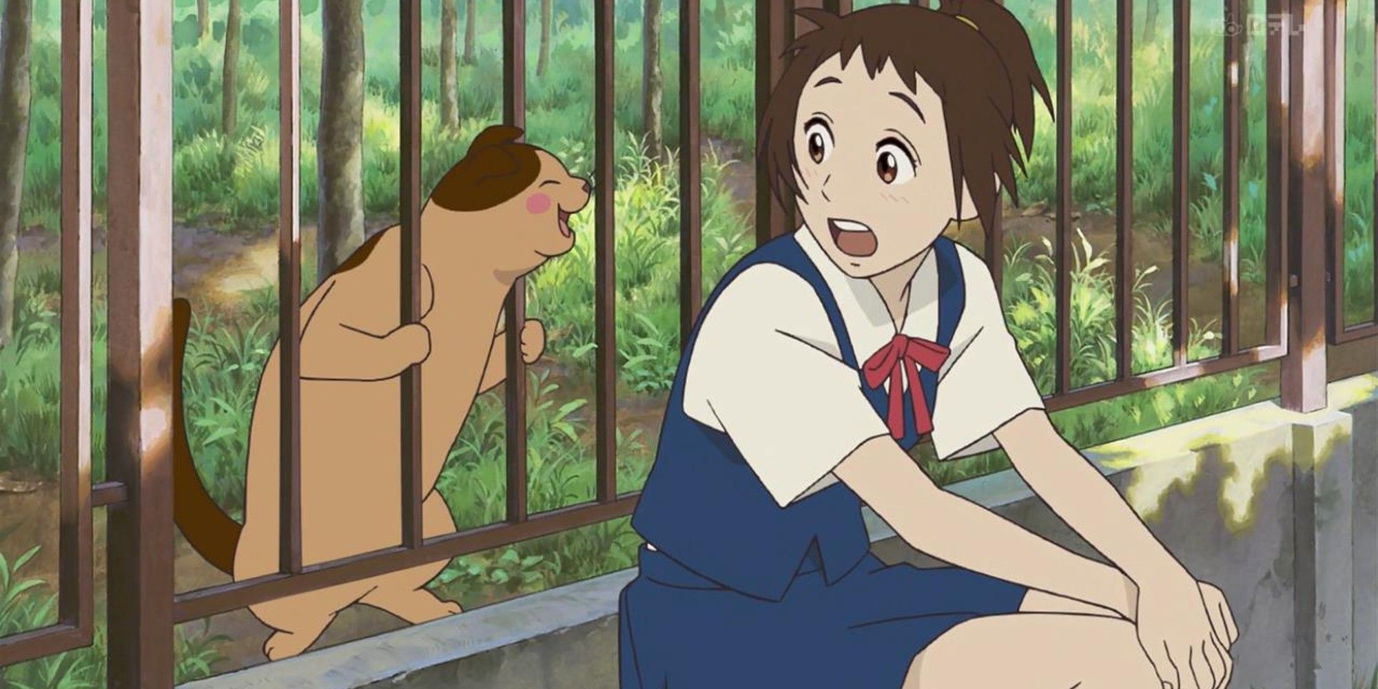 Ghibli: лучшие фильмы по книгам и манге, рейтинг