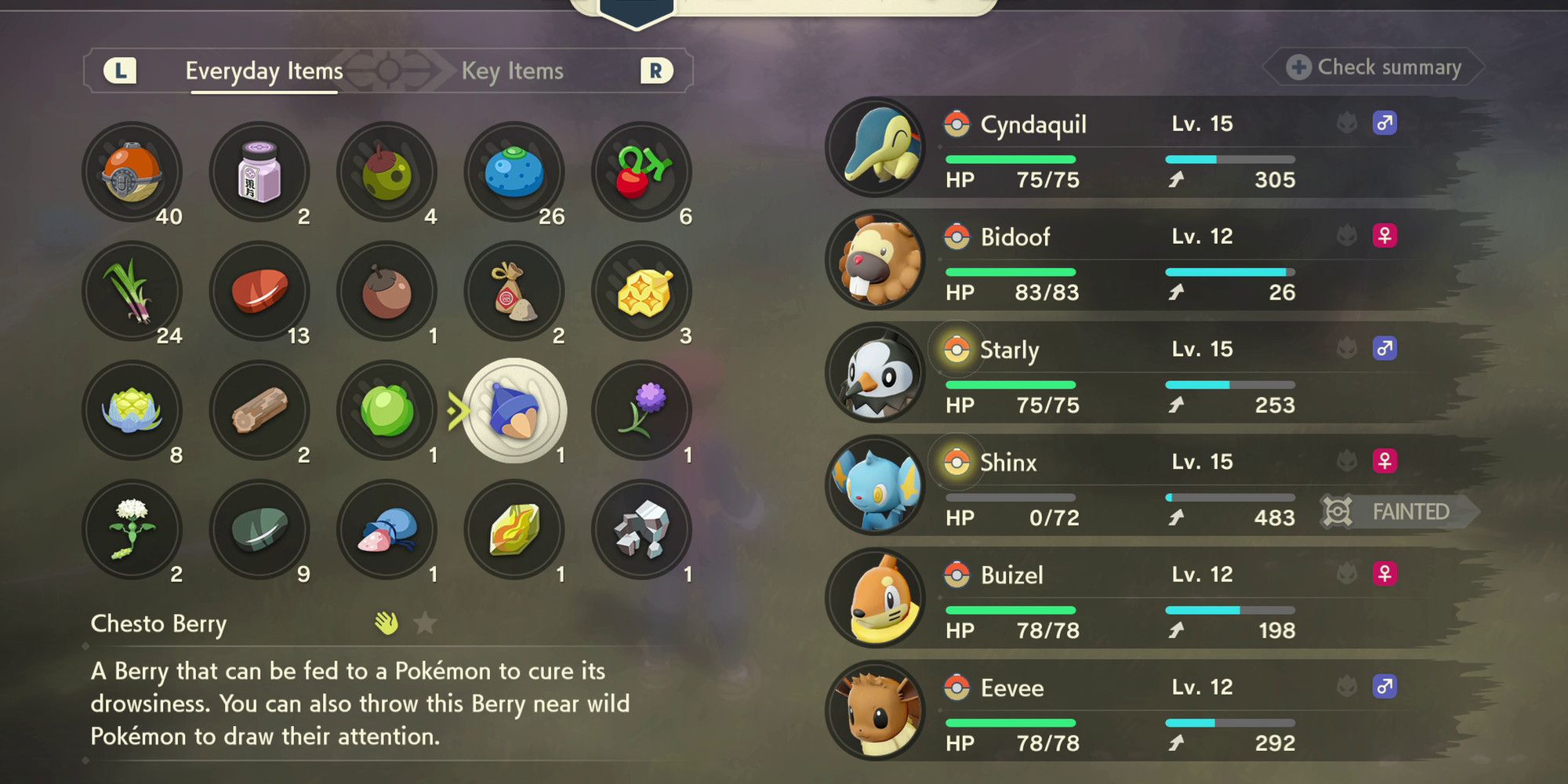 inventory in pokemon legends arceus