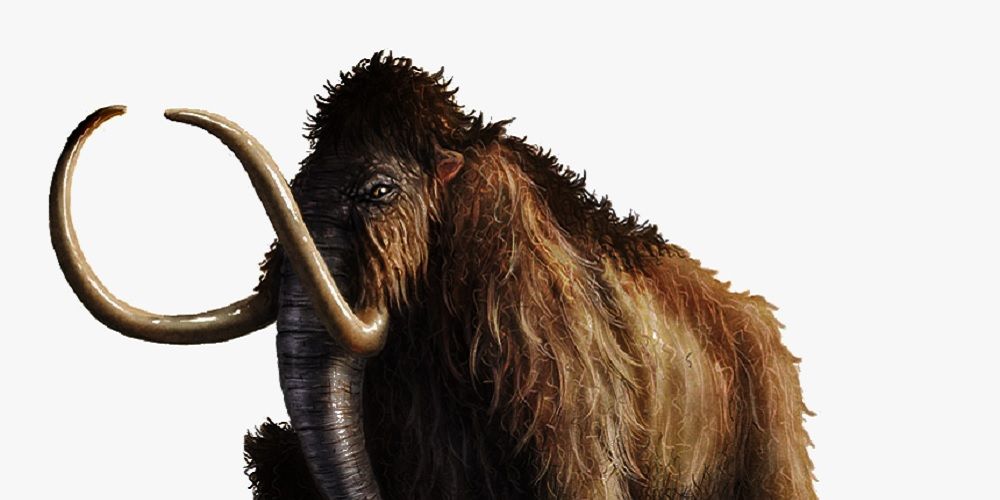 An artistic rendering of a mammoth