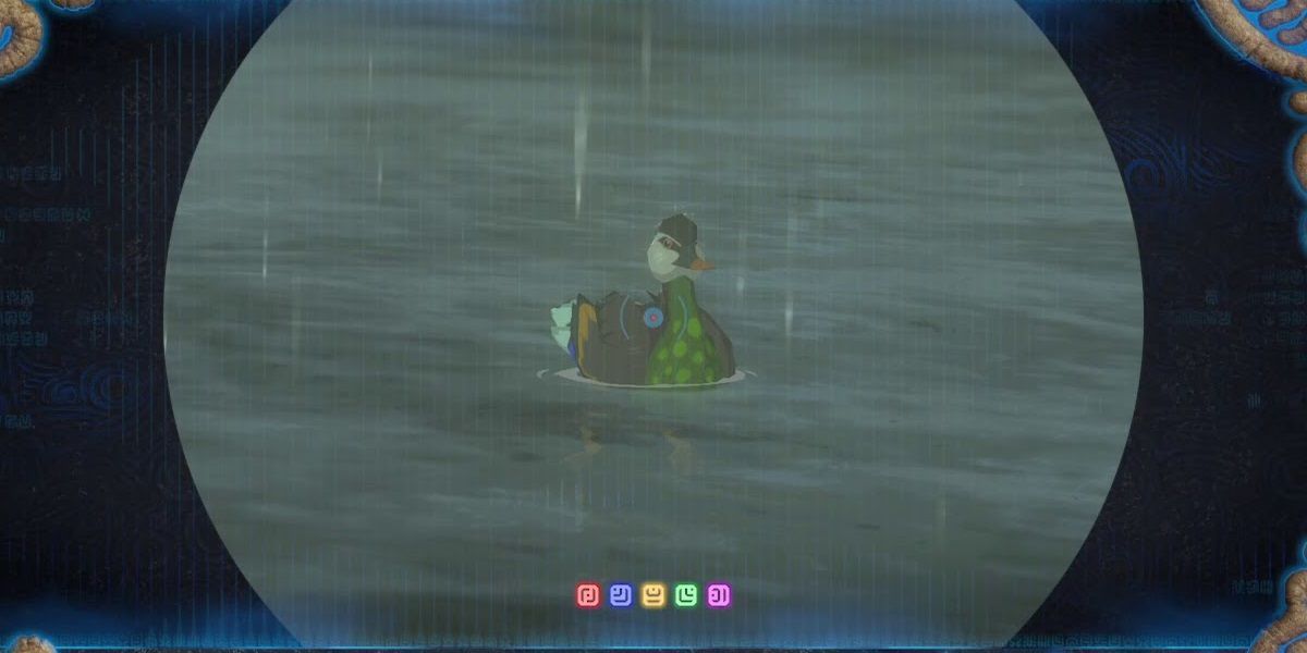 A bright-chested duck from Breath of the Wild caught in Link's scope