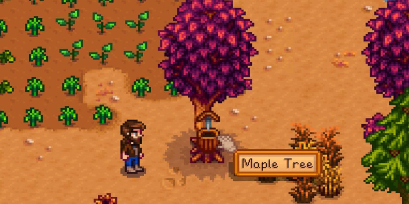 A Tree Tapper on a Maple Tree in Stardew Valley