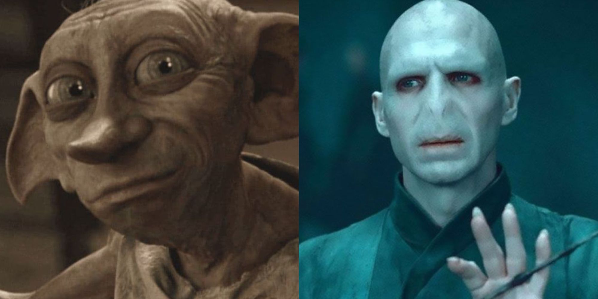 Two images in a collage: Voldemort and Dobby side by side