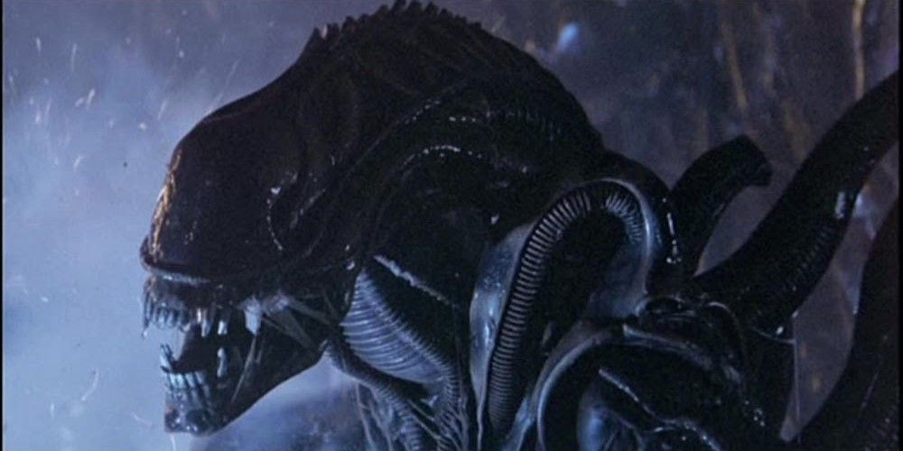 A Xenomorph hisses in the original Alien.