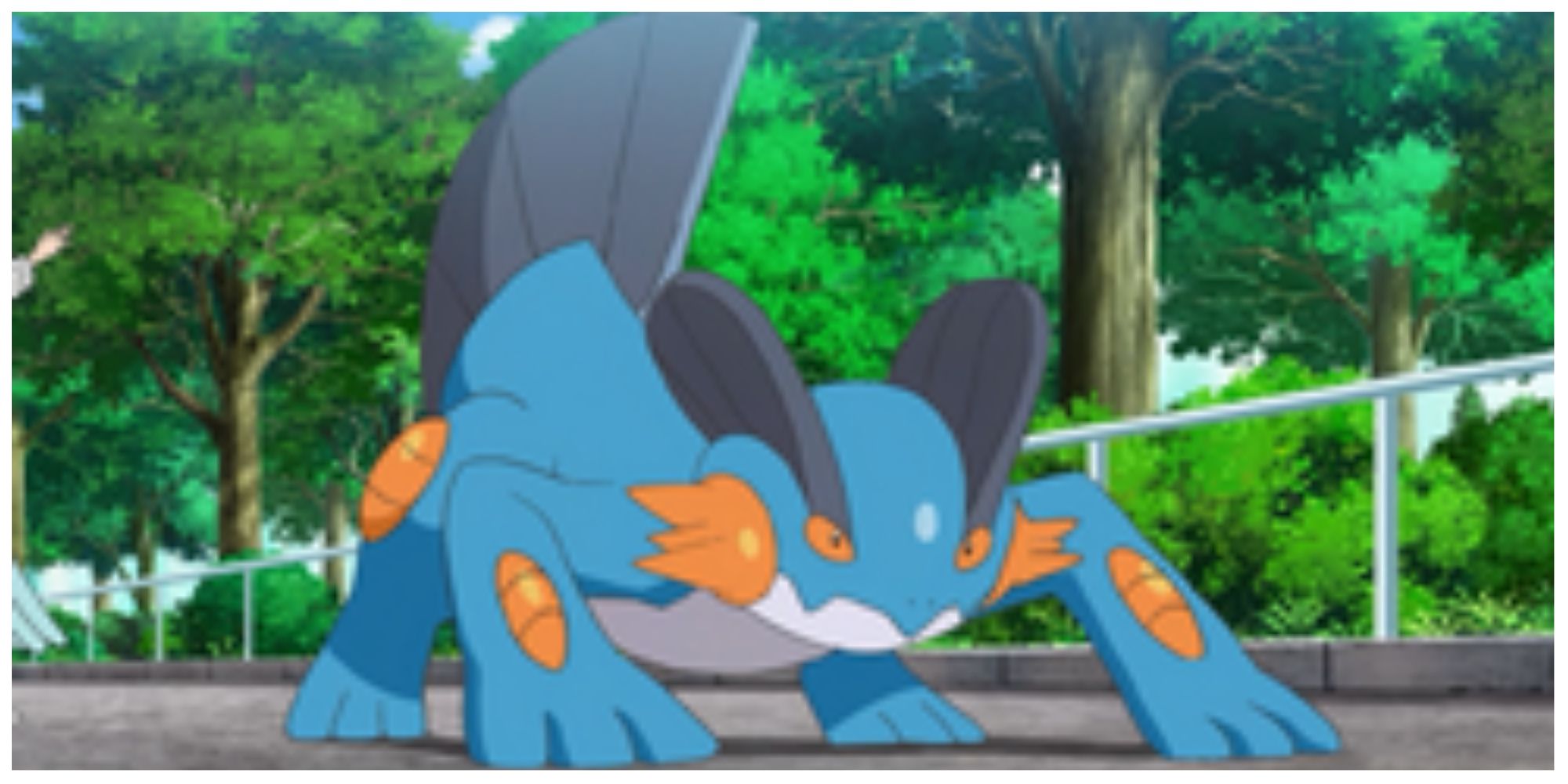 Champion Wallace's Swampert in the Pokémon anime.