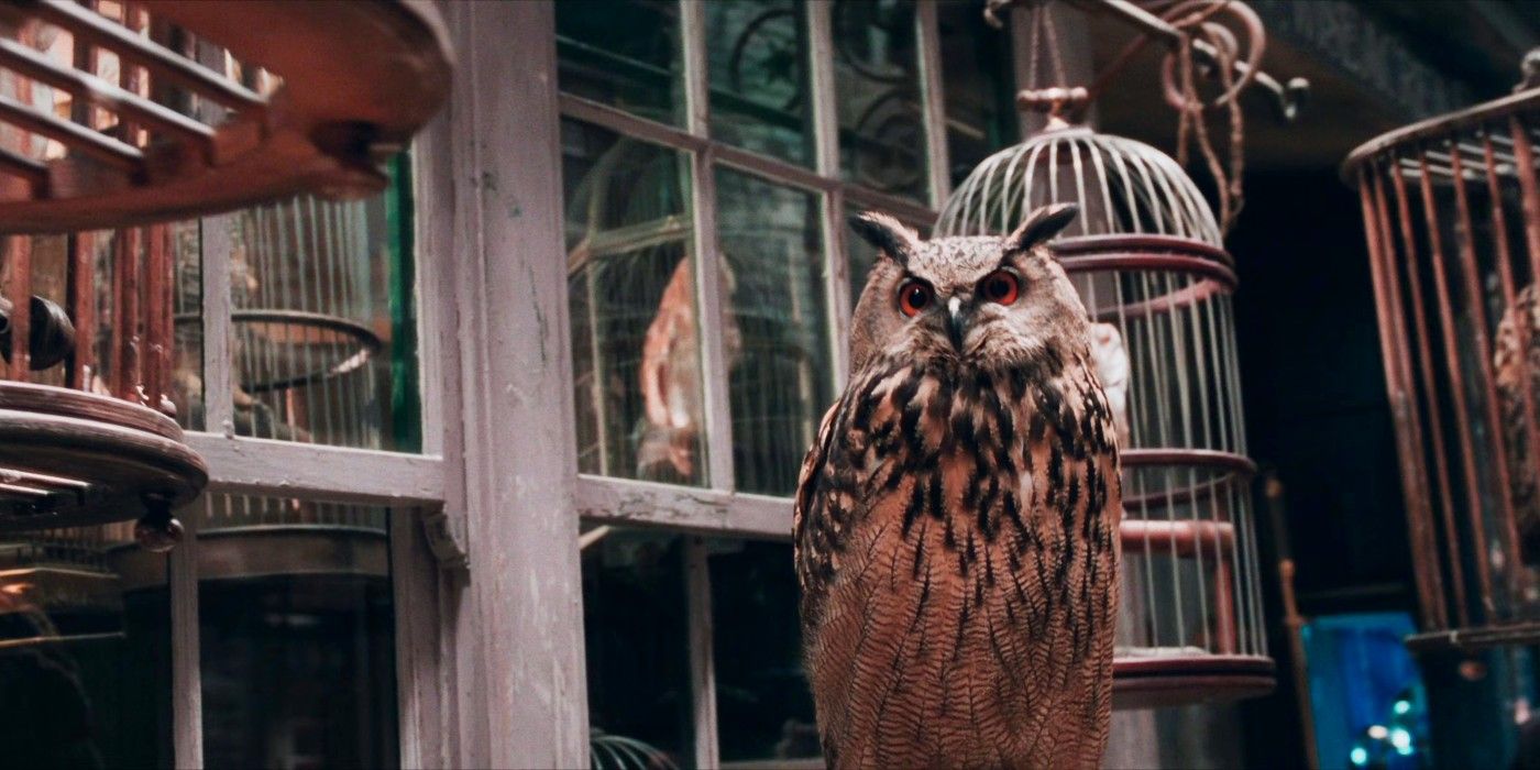 Hogsmeade & Diagon Alley Are More Important Harry Potter Locations Than You May Have Thought