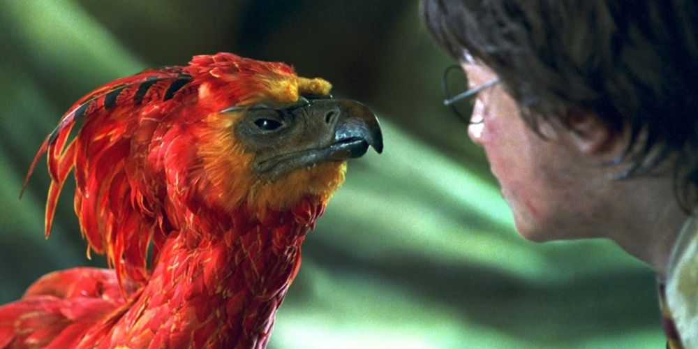 Fawkes and Harry in the Chamber of Secrets