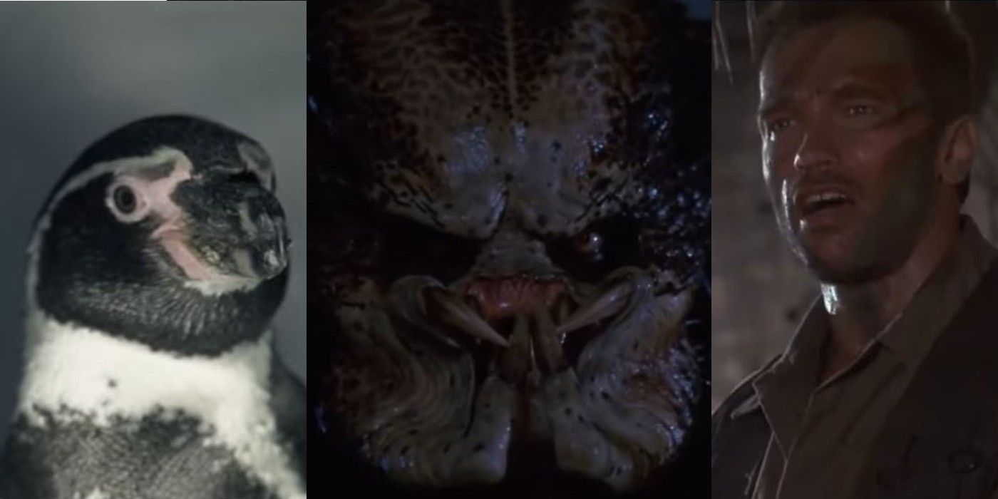 Funny Predator Feature Image: Dutch played by Arnold Schwarzenegger, the Predator, and the scary penguin
