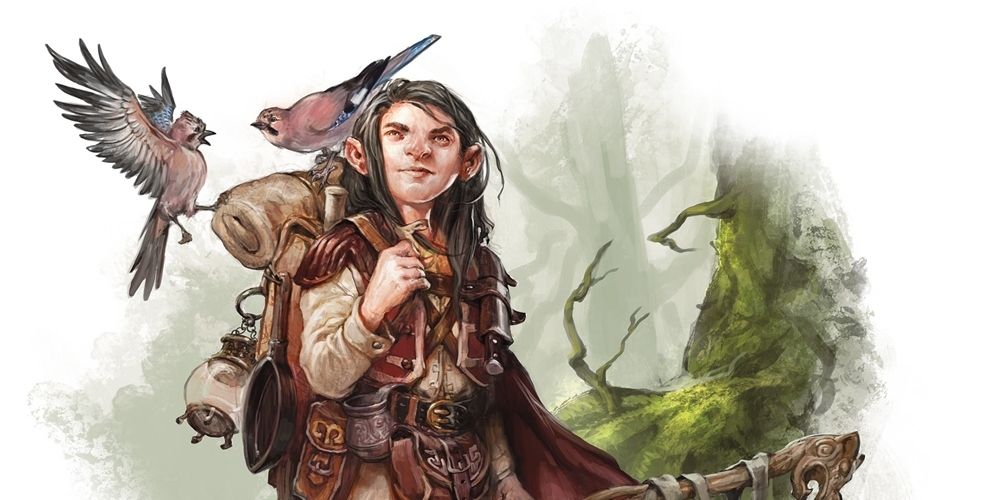 Gnome Druid surrounded by animals in DnD