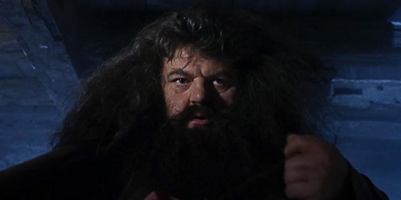 Hagrid filozof taşına geliyor