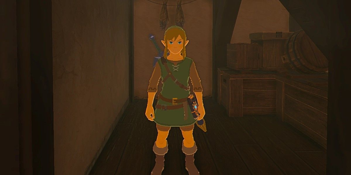 An image of Breath of the Wild's Hero of the Wild set, comprising Link's classic green tunic and cap