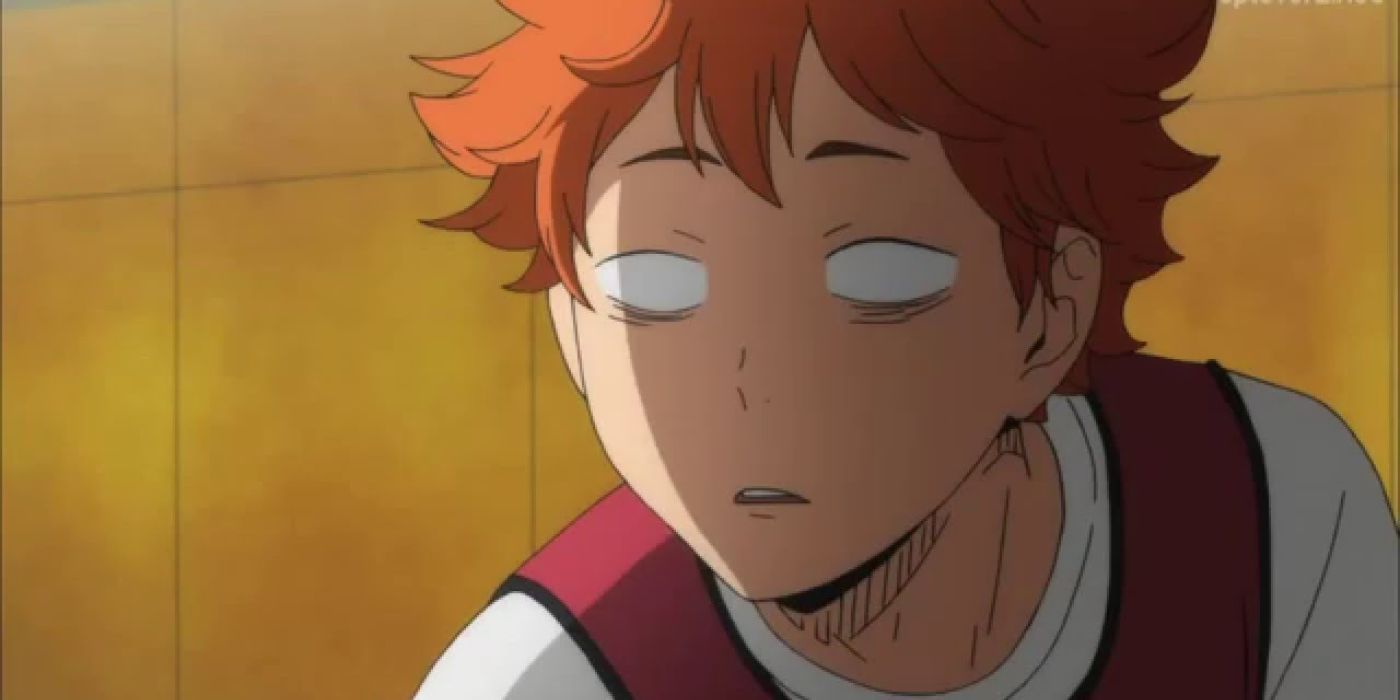 Everything Fans Didn't Know About Shoyo Hinata from Haikyuu!!