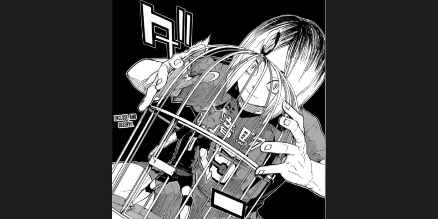 Kenma keeping Hinata in a bird cage in Haikyuu!'s manga.