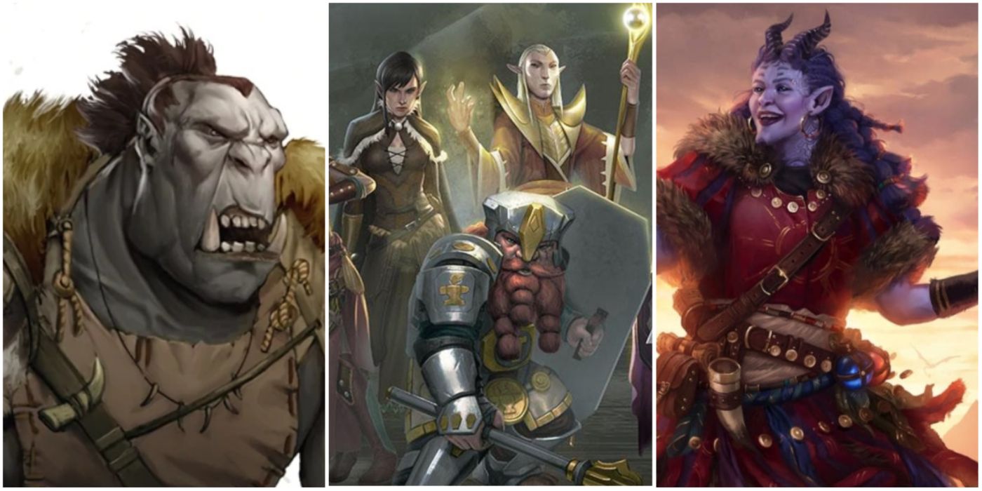 D&D races 101: All your options from the Players' Handbook, from Halflings  to Half-Orcs