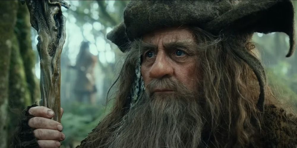 Radagast the Brown in The Hobbit movies.