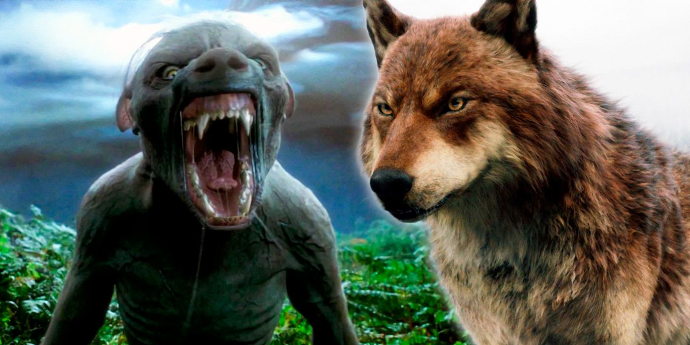 Harry Potter vs. Twilight: Which Fantasy World Has Better Werewolves?