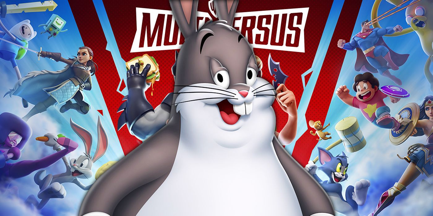 Big Chungus Printed Hoodie Bugs Bunny Funny Meme Cartoon Rabbit Gamer Gaming 