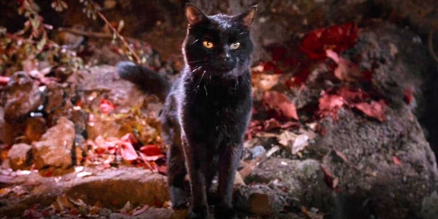 Hocus Pocus 2 May Include Binx After All - But Not as a Cat