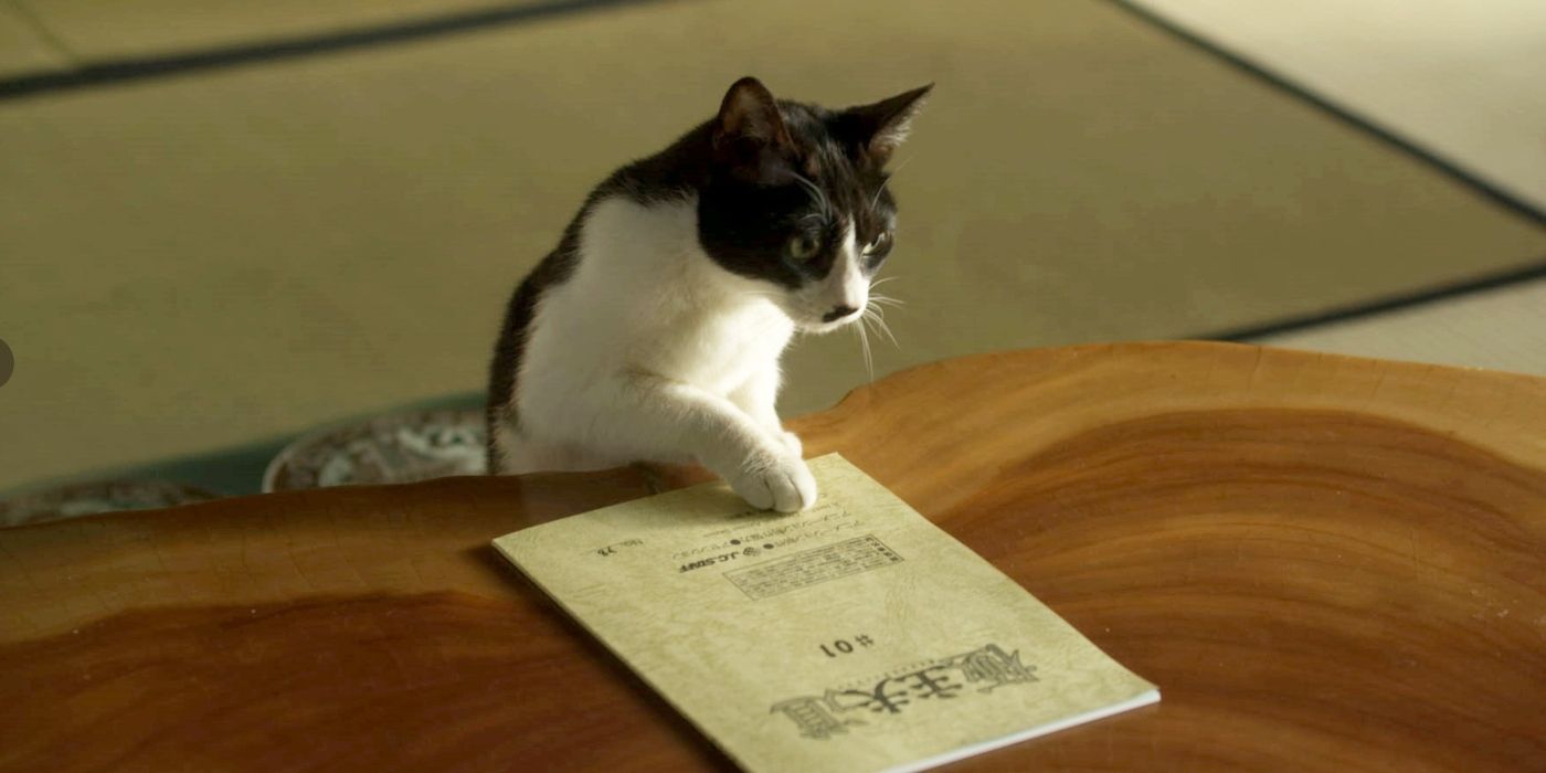 The Way of the Househusband’s Live-Action Special Is Worth Watching - The Way Of The House Husband Cat