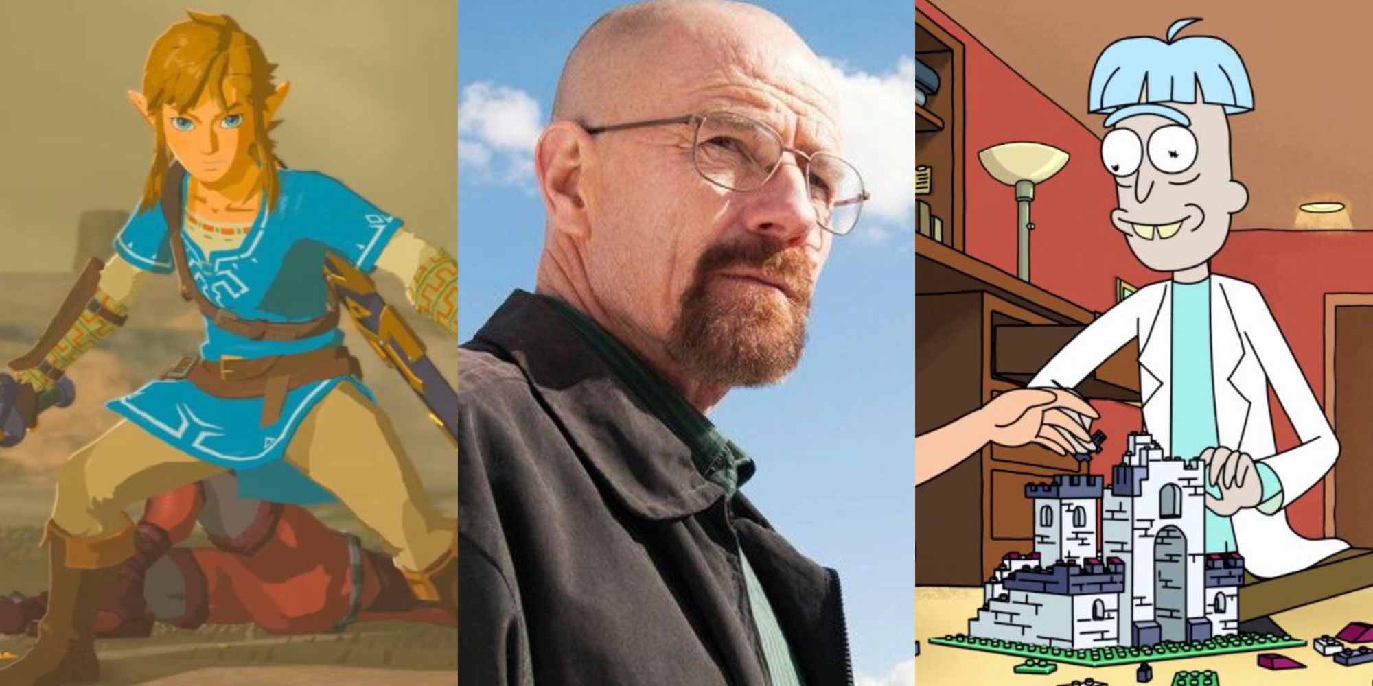link in breath of the wild, walter white from breaking bad, doofus rick from rick and morty