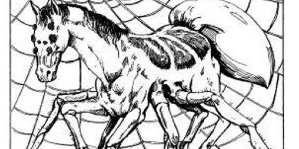 spider horse art from Dungeons and Dragons