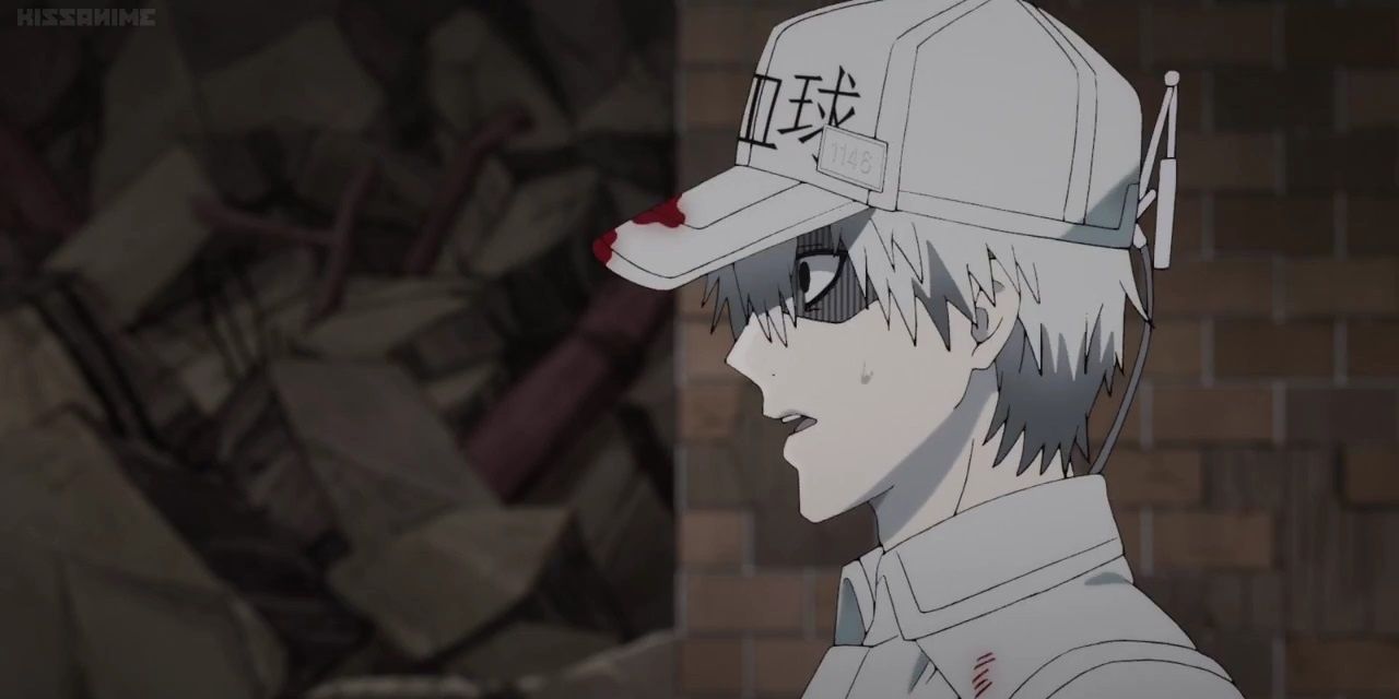white blood cell 2