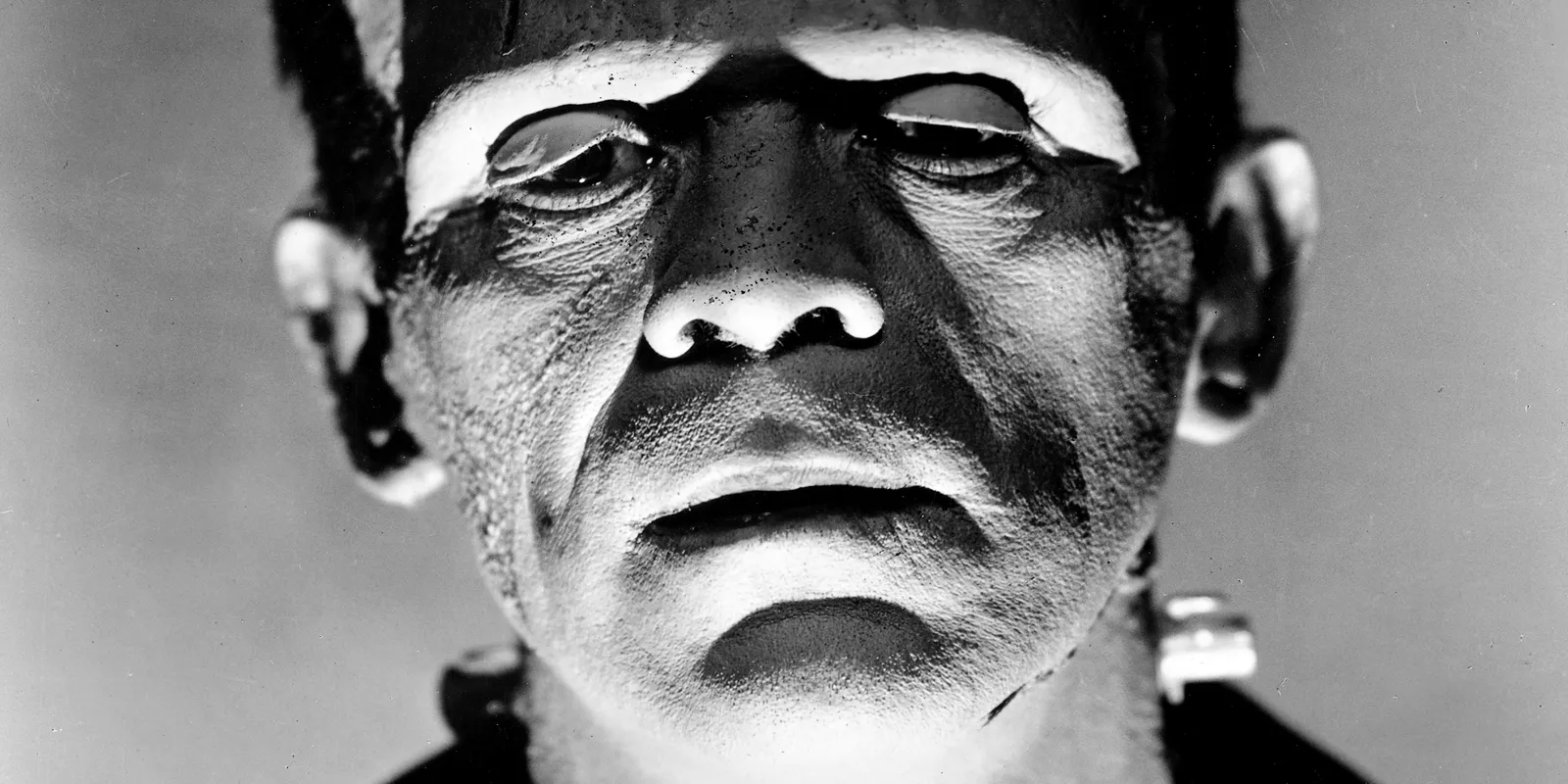 A portrait of Frankenstein's monster