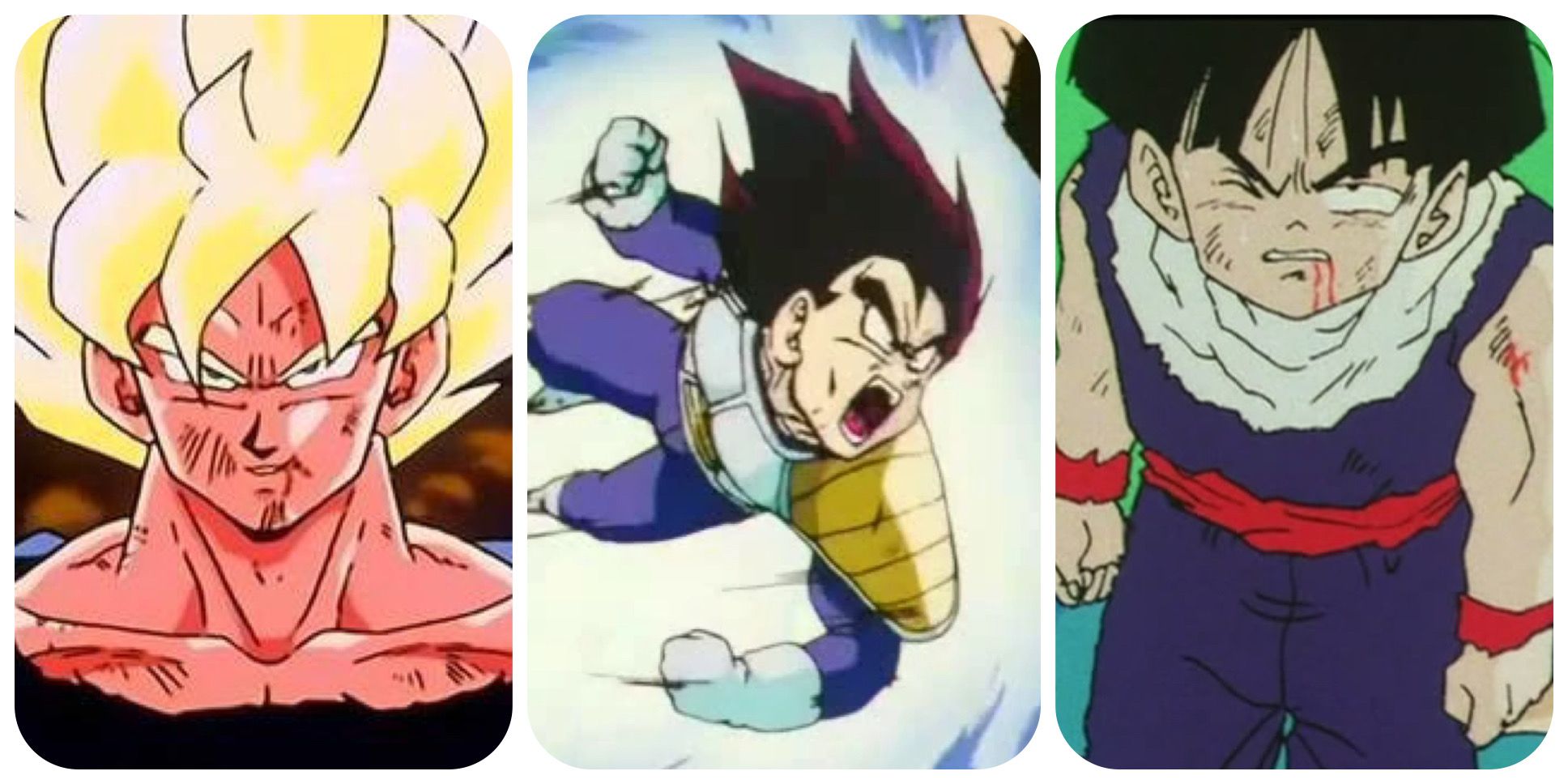 Goku vegeta and Gohan all badly injured in dragon ball z