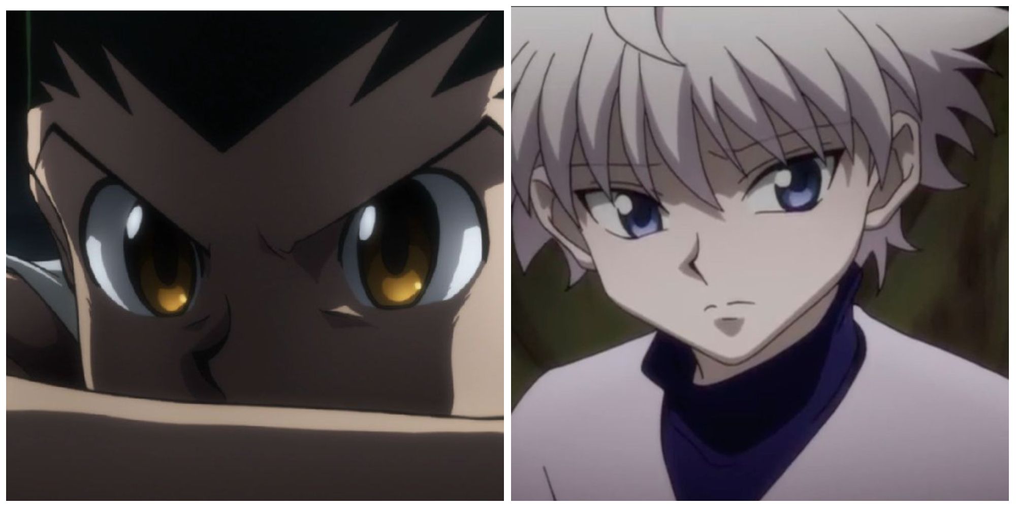The Hunter X Hunter Chimera Scene That Fans Agree Went Too Far