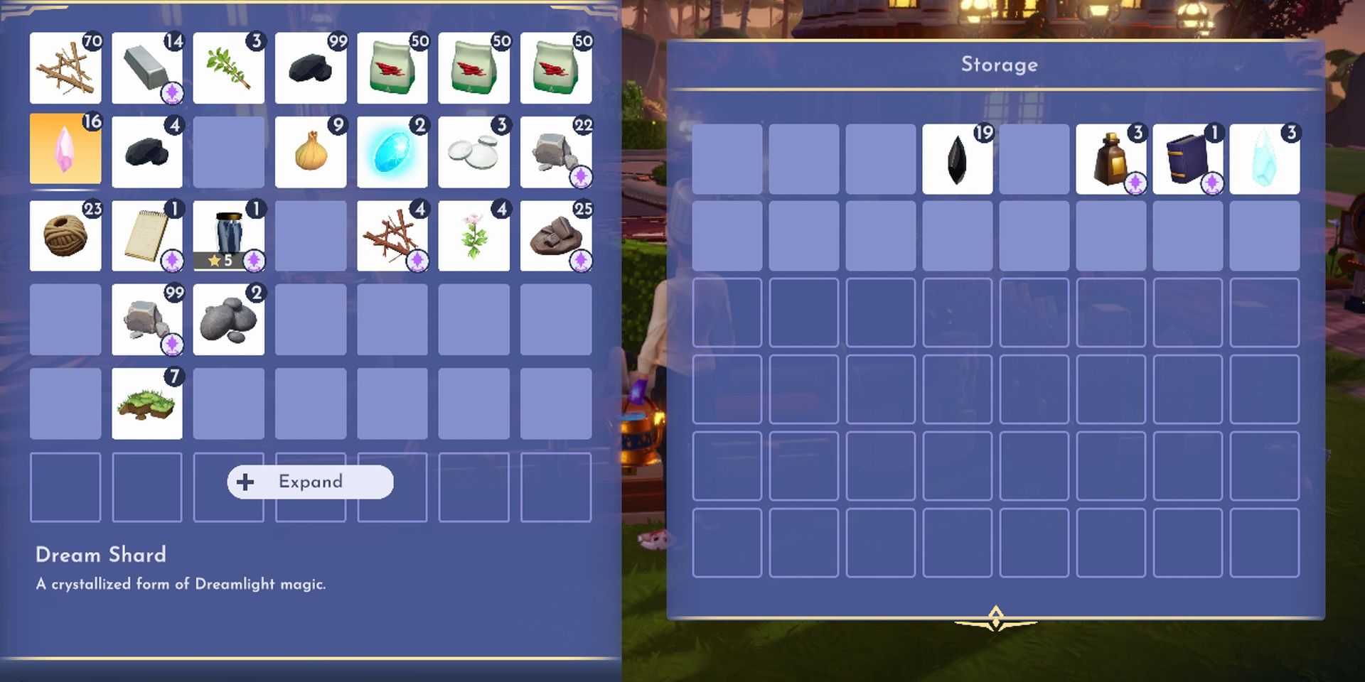 Dream shard need to be stored in Disney Dreamlight Valley