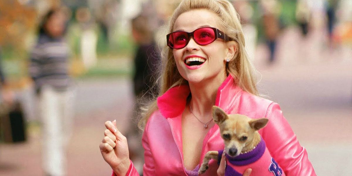 Is Legally Blonde 3 Still Happening?