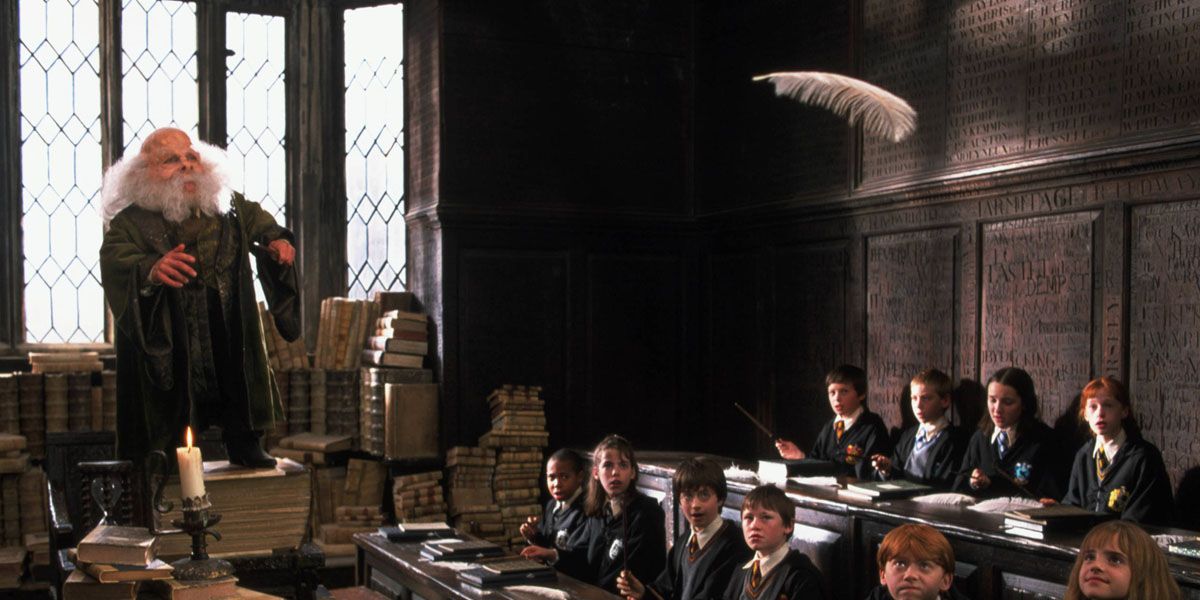 Harry Potter The Main Professors Hogwarts Houses