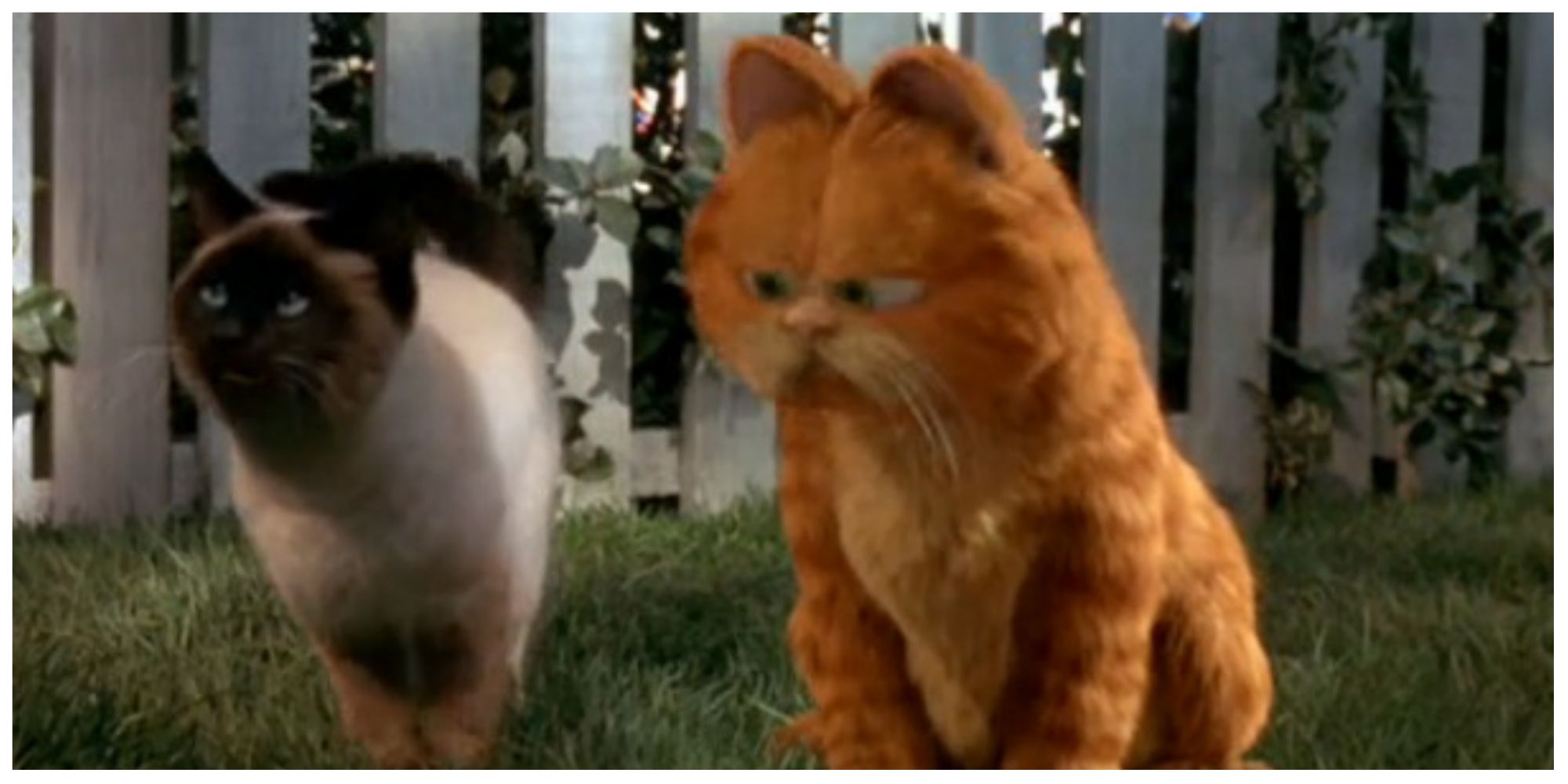 Garfield and Nermal in Garfield (2004)