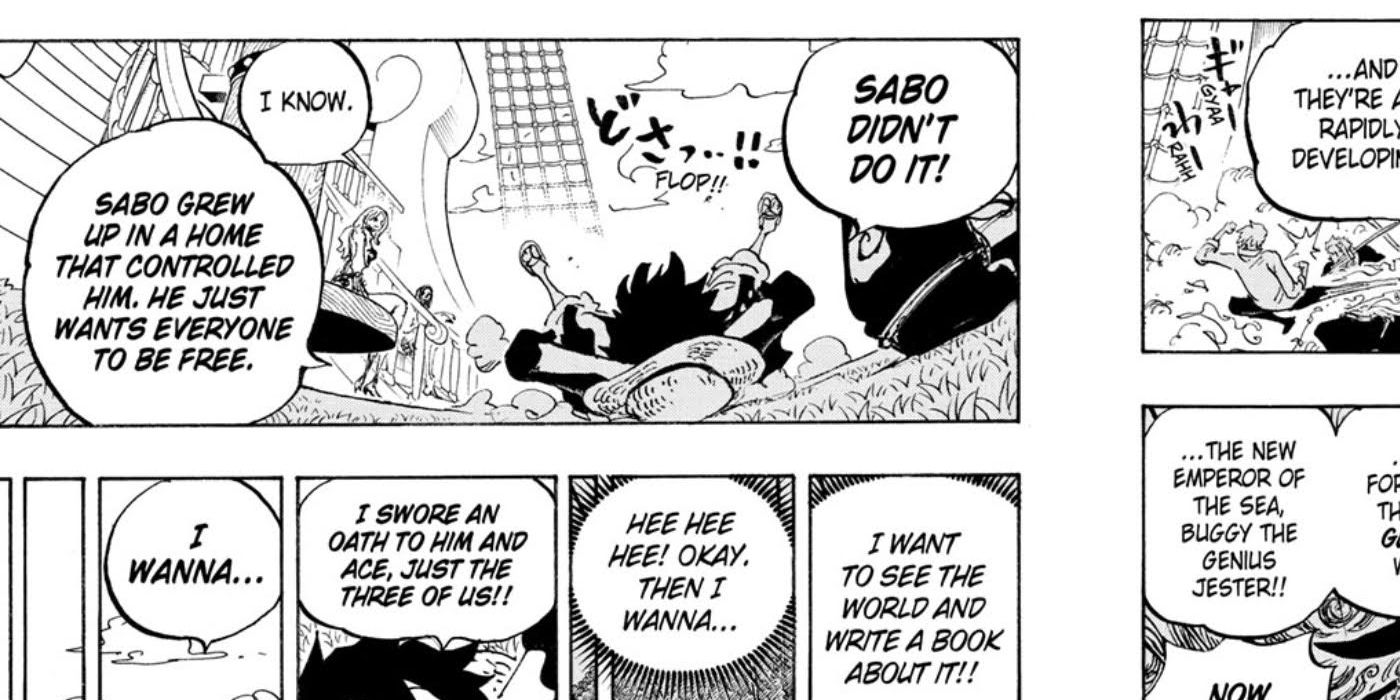 Luffy convinced of Sabo's innocence in One Piece