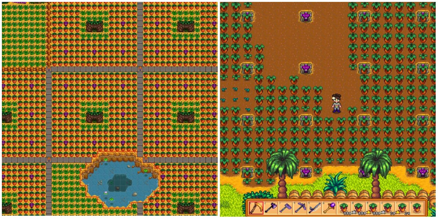 10-most-profitable-crops-in-stardew-valley-ranked