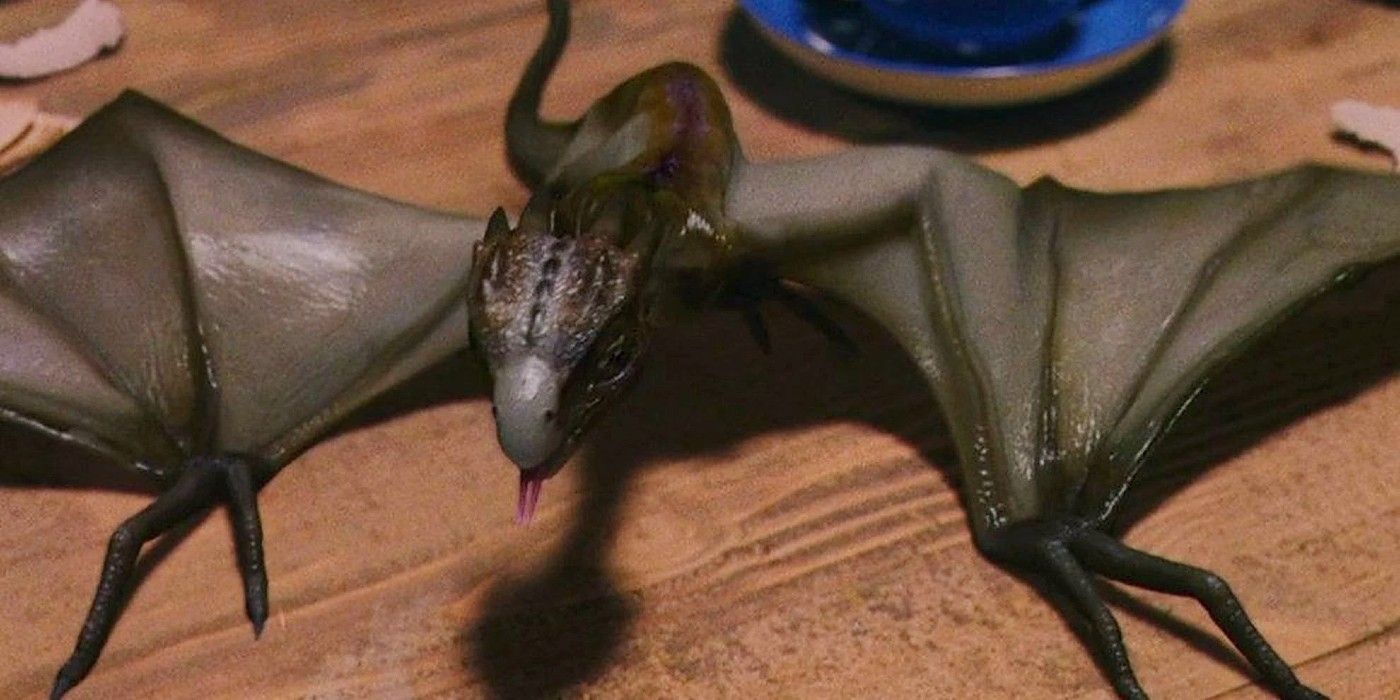 Norberta the Norwegian Ridgeback dragon shortly after hatching in Harry Potter