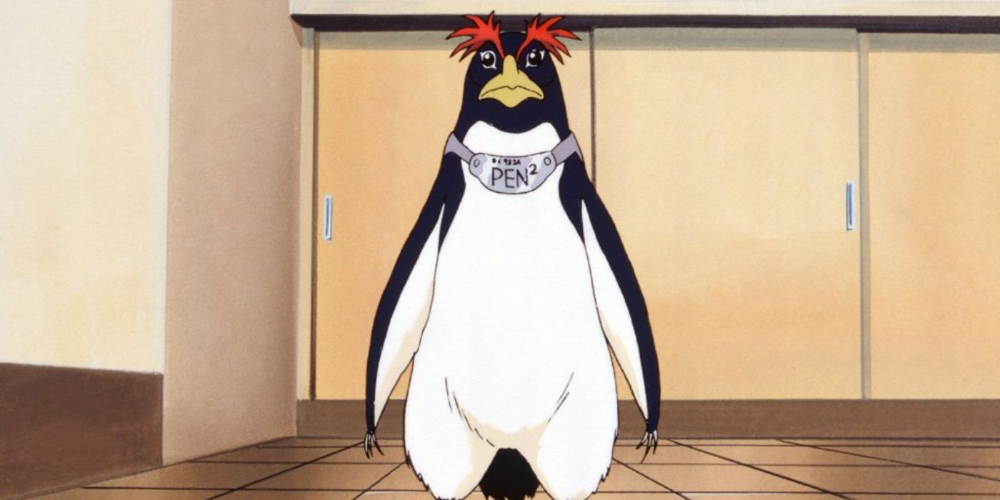 Grape-kun the penguin falls in love with cardboard bird | Nature | News |  Express.co.uk