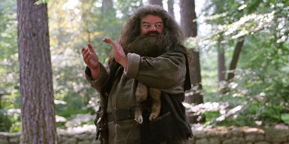 Rubeus Hagrid, Harry Potter'daki ormanda ellerini çırpıyor