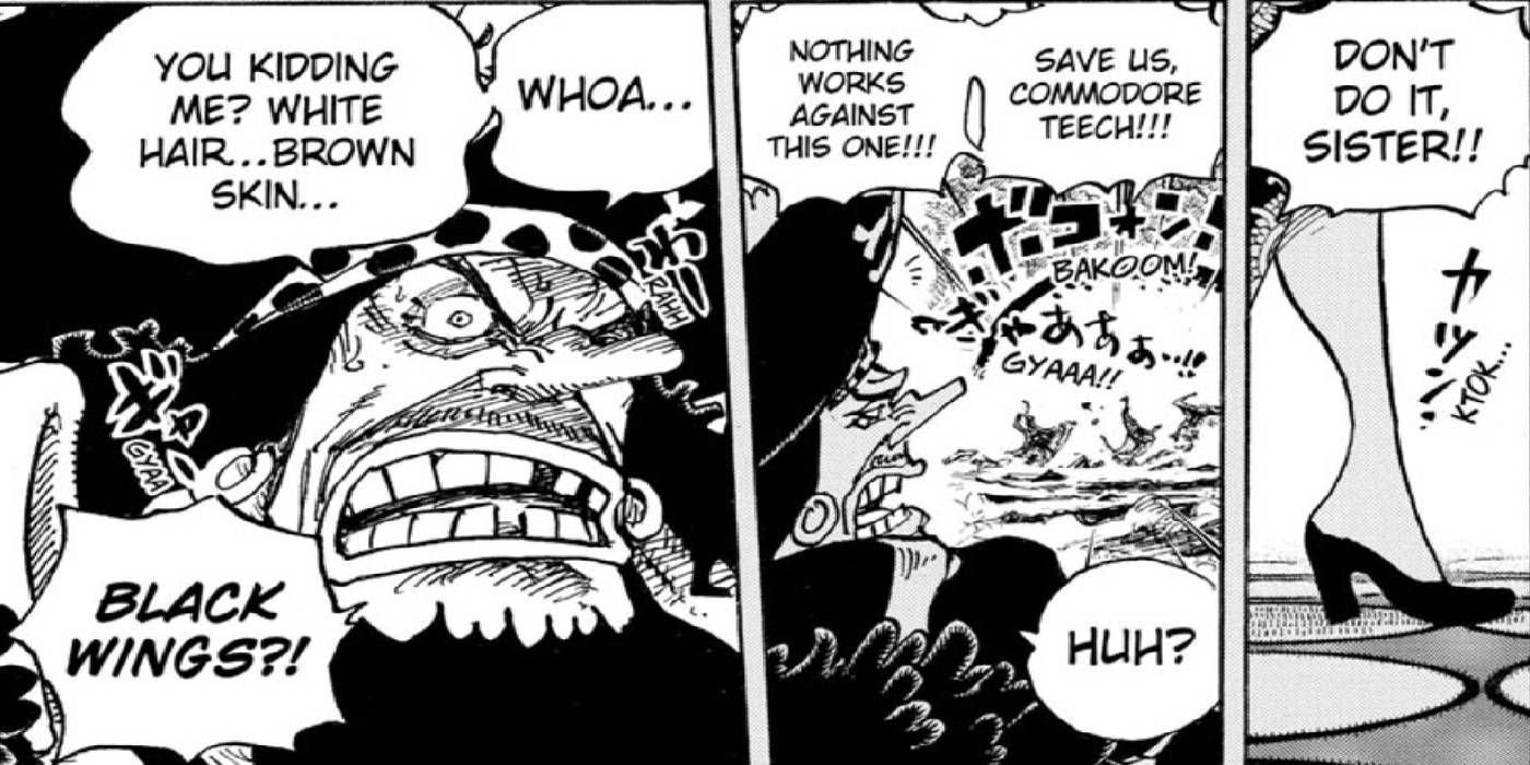 One Piece Chapter 1059: The Seraphim, Explained